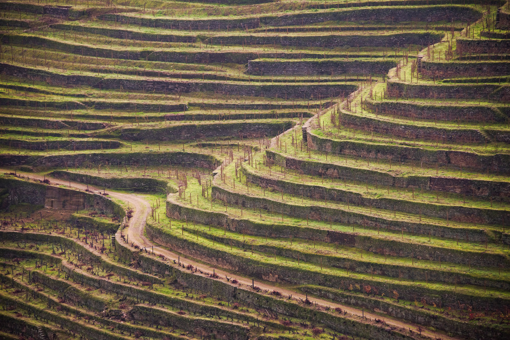 Terraces, Upper Douro Valley, Portugal © Harold Davis