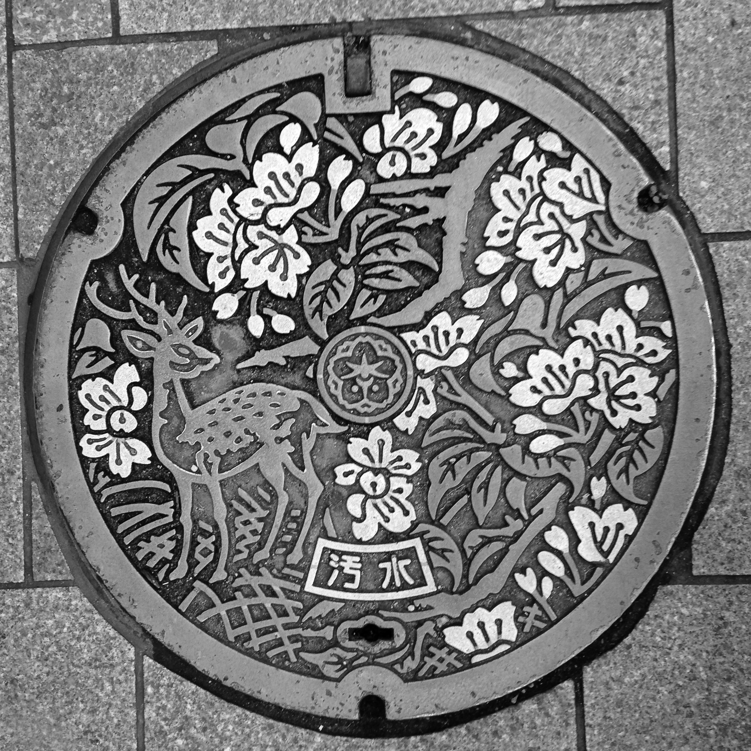 Manhole Cover, Nara, Japan © Harold Davis