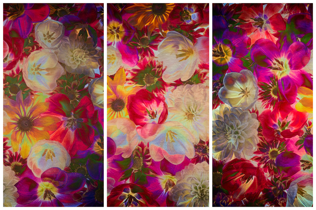 Painterly Floral Triptych © Harold Davis