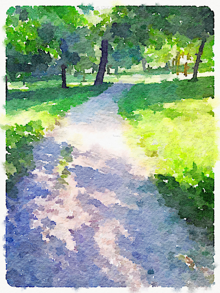 Path in the Park © Harold Davis
