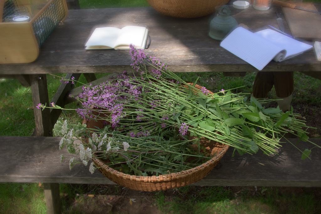 At Avena Herb Farm © Harold Davis