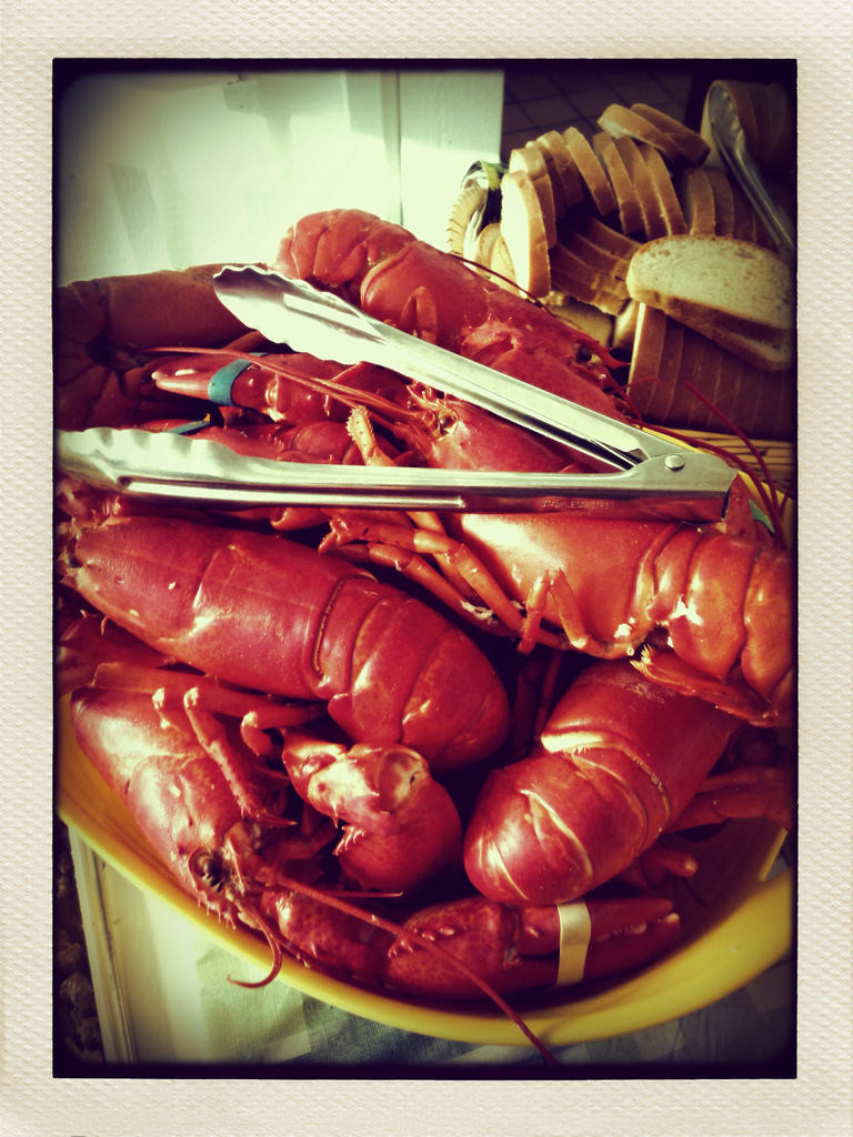 Lobsters for Dinner © Harold Davis
