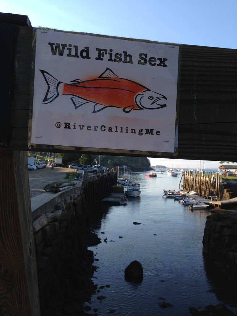 Wild Fish Sex © Harold Davis