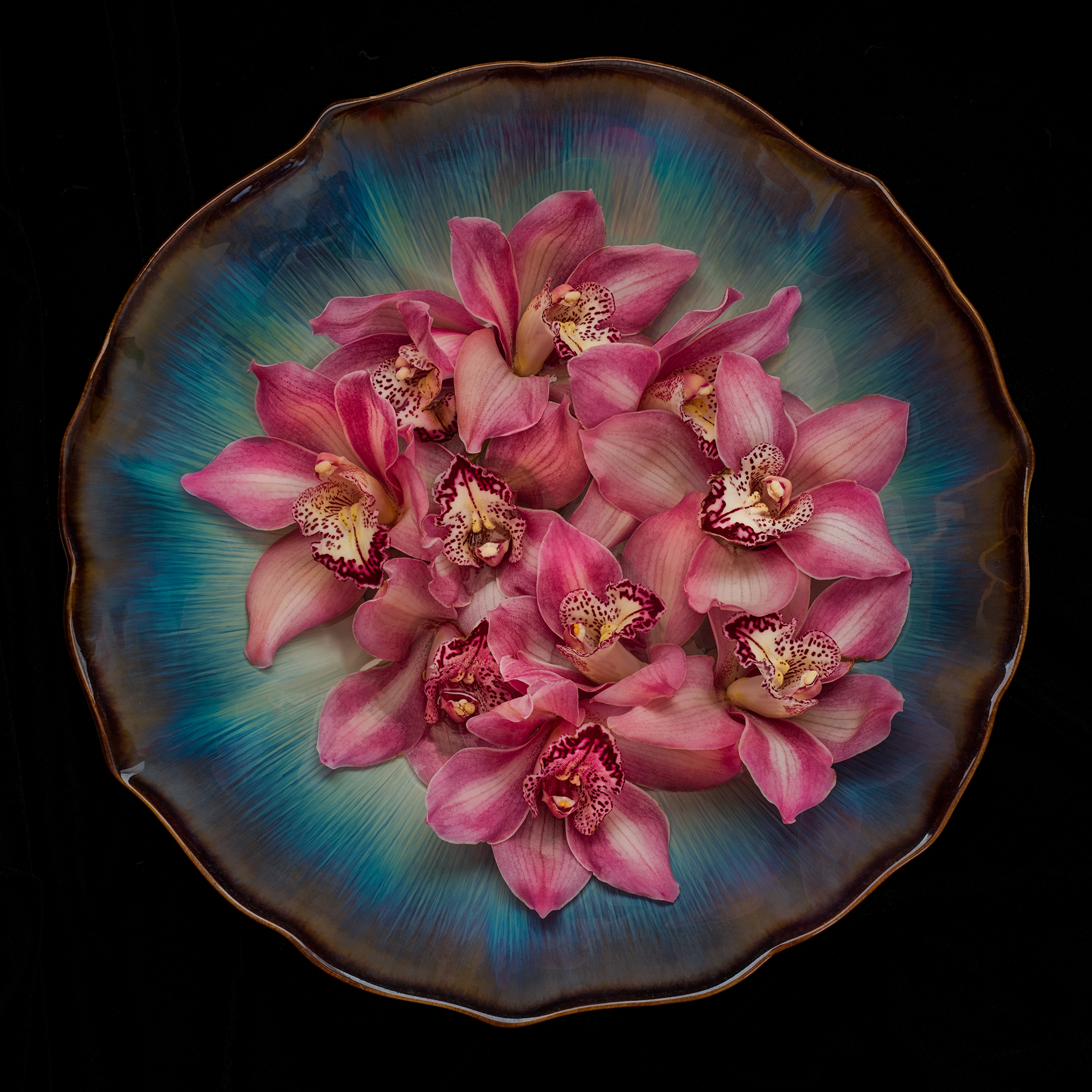 Orchids in a Blue Bowl © Harold Davis