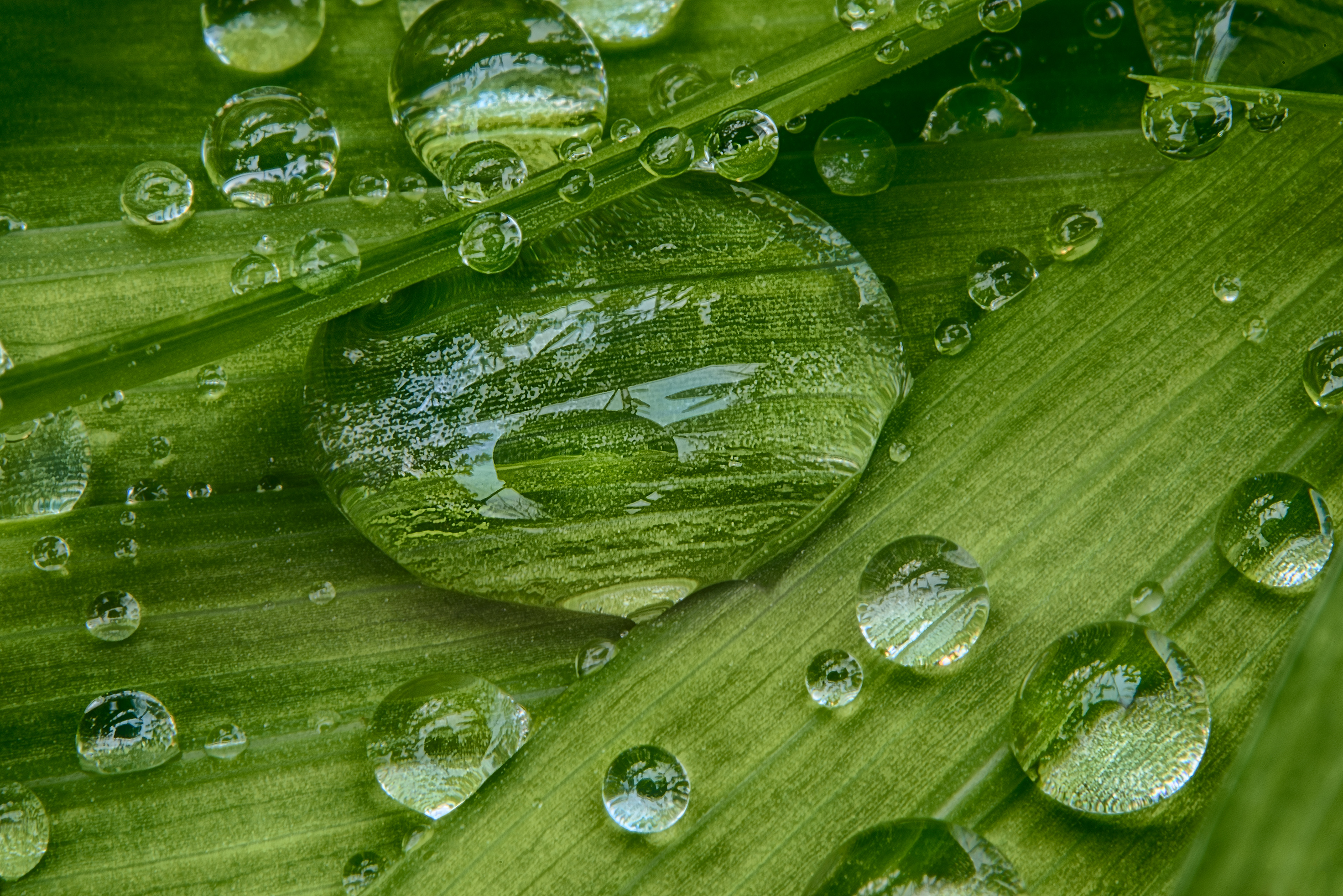 Water Drop Selfie with Camera © Harold Davis