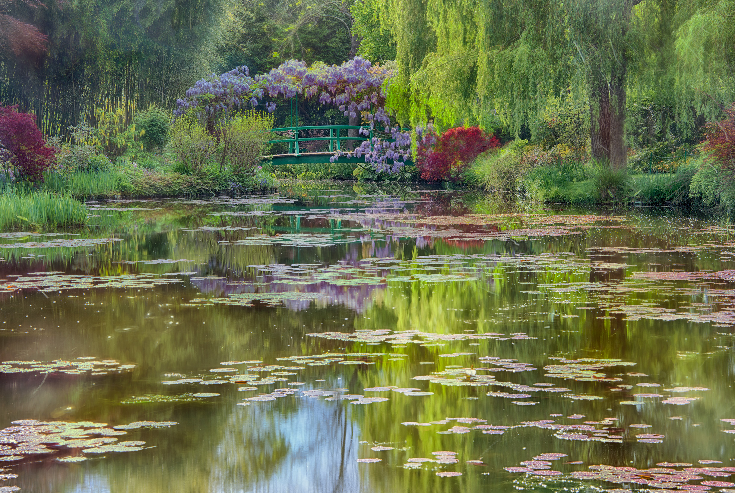Monet's Lily Pond at Giverny © Harold Davis