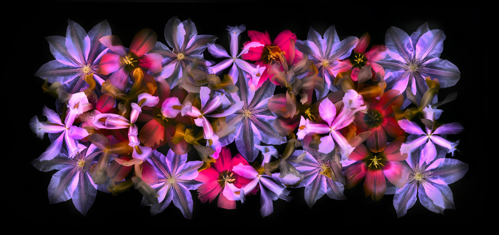 Painting with Flowers Inverted © Harold Davis