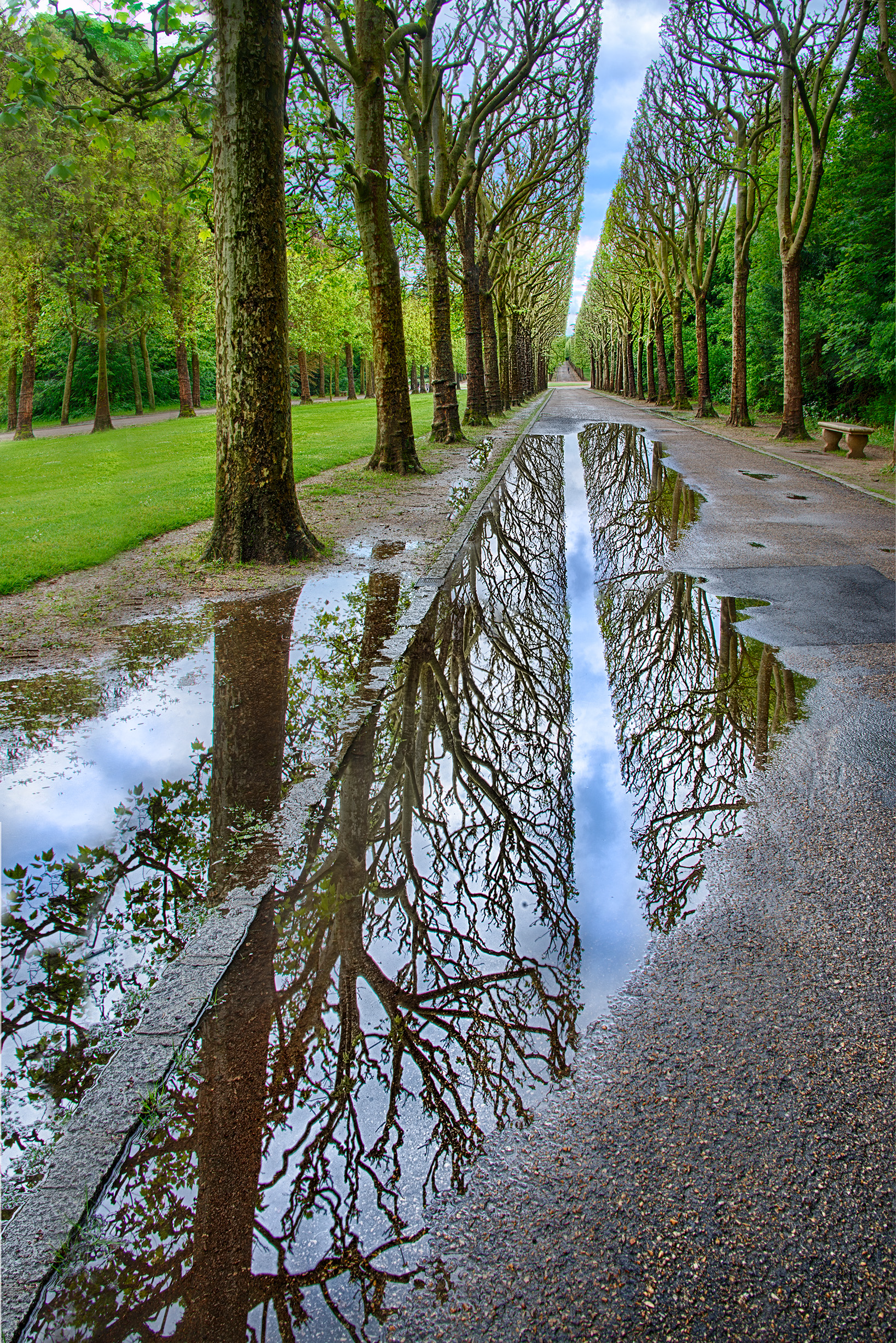 Park Path and Reflection © Harold Davis