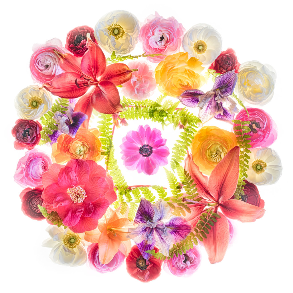 Spring Wreath © Harold Davis