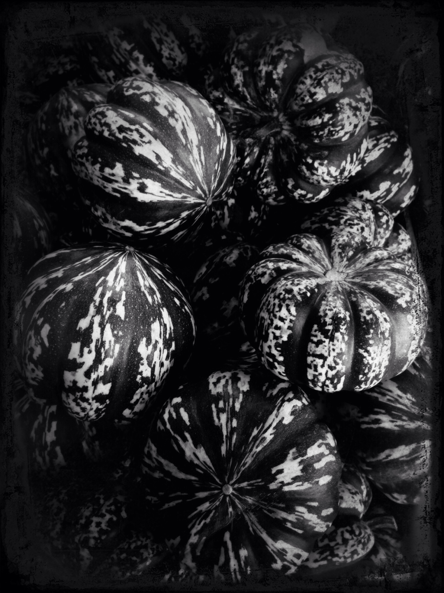 Gourds © Harold Davis