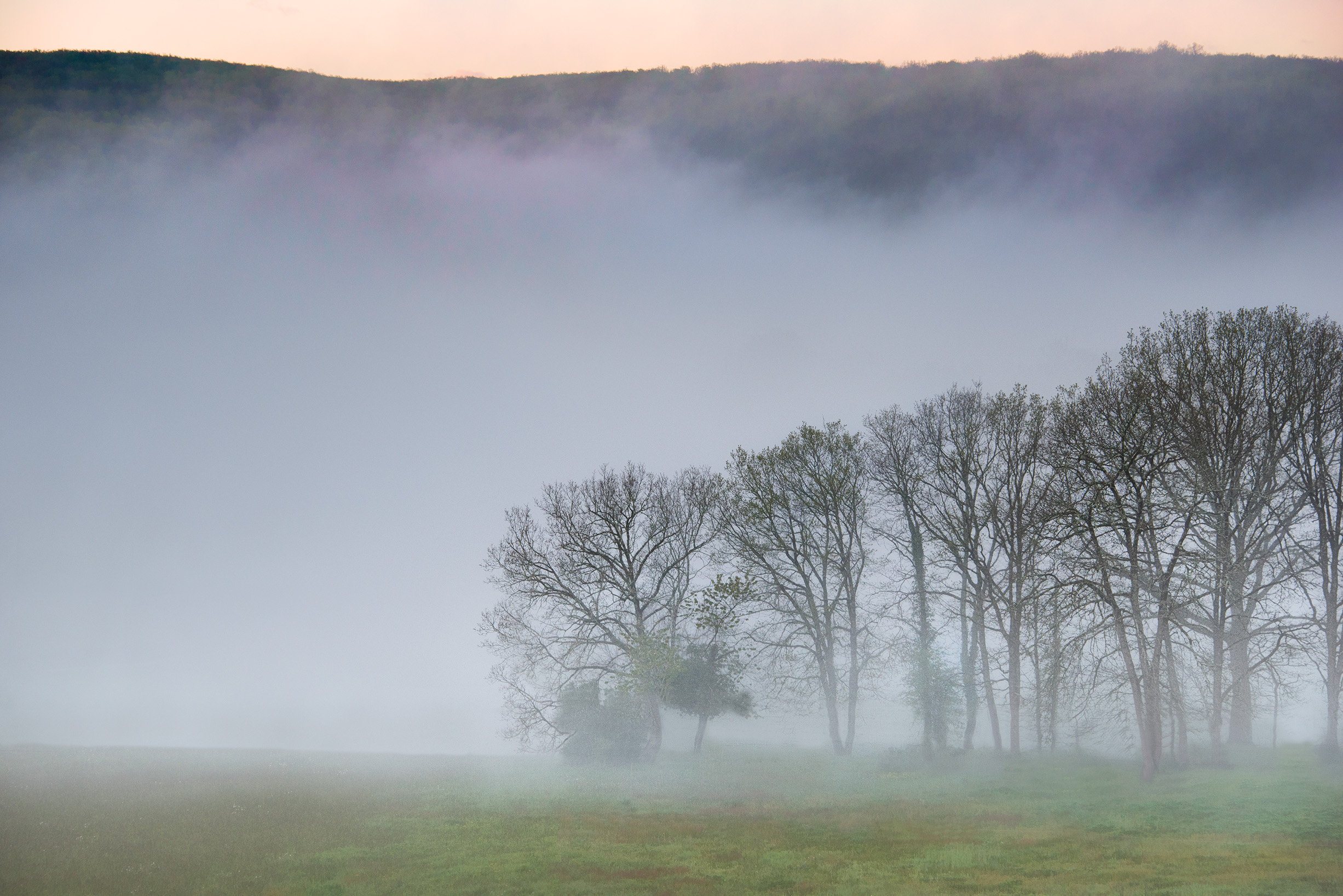 Morning Mist © Harold Davis