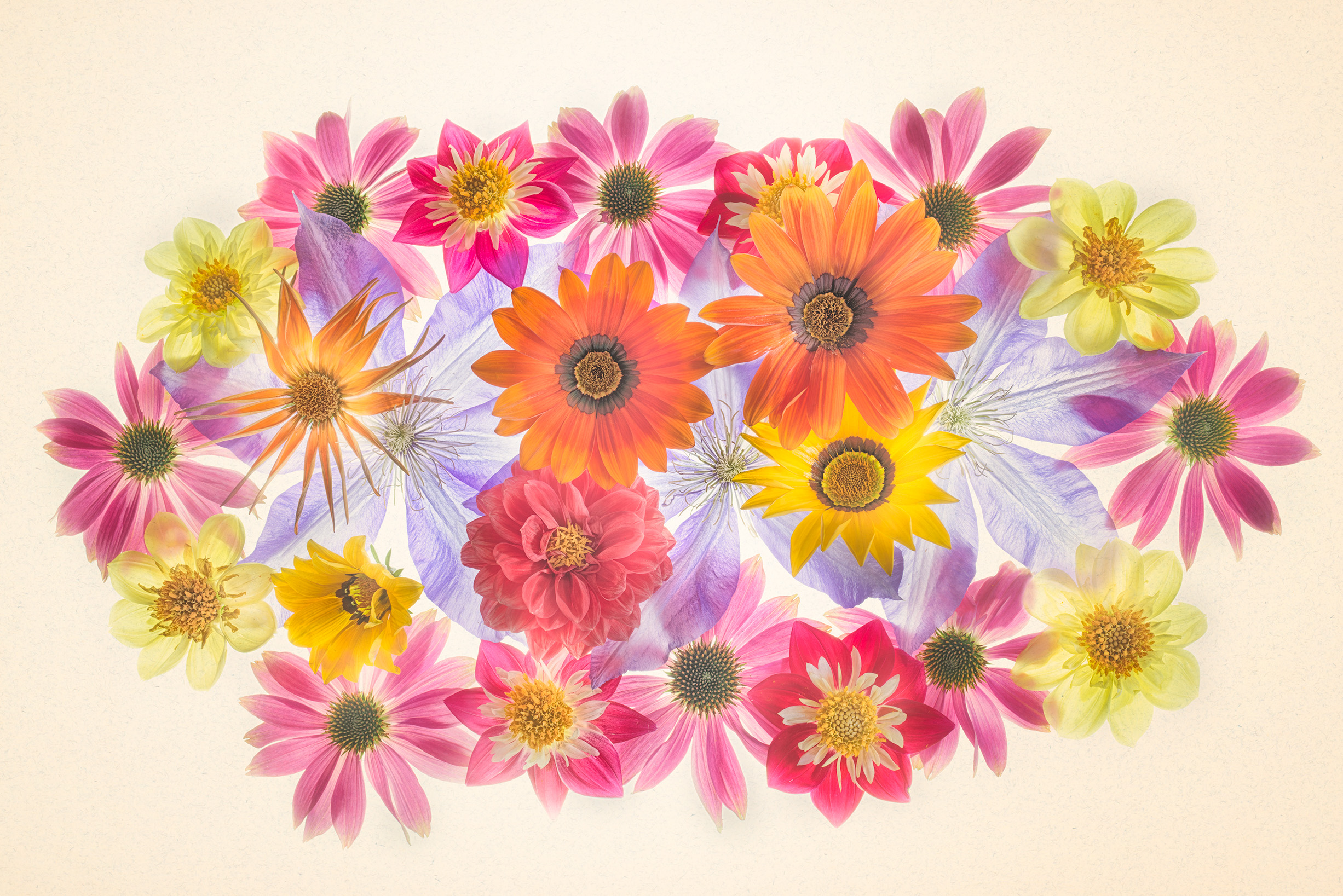 Scarab of Flowers © Harold Davis