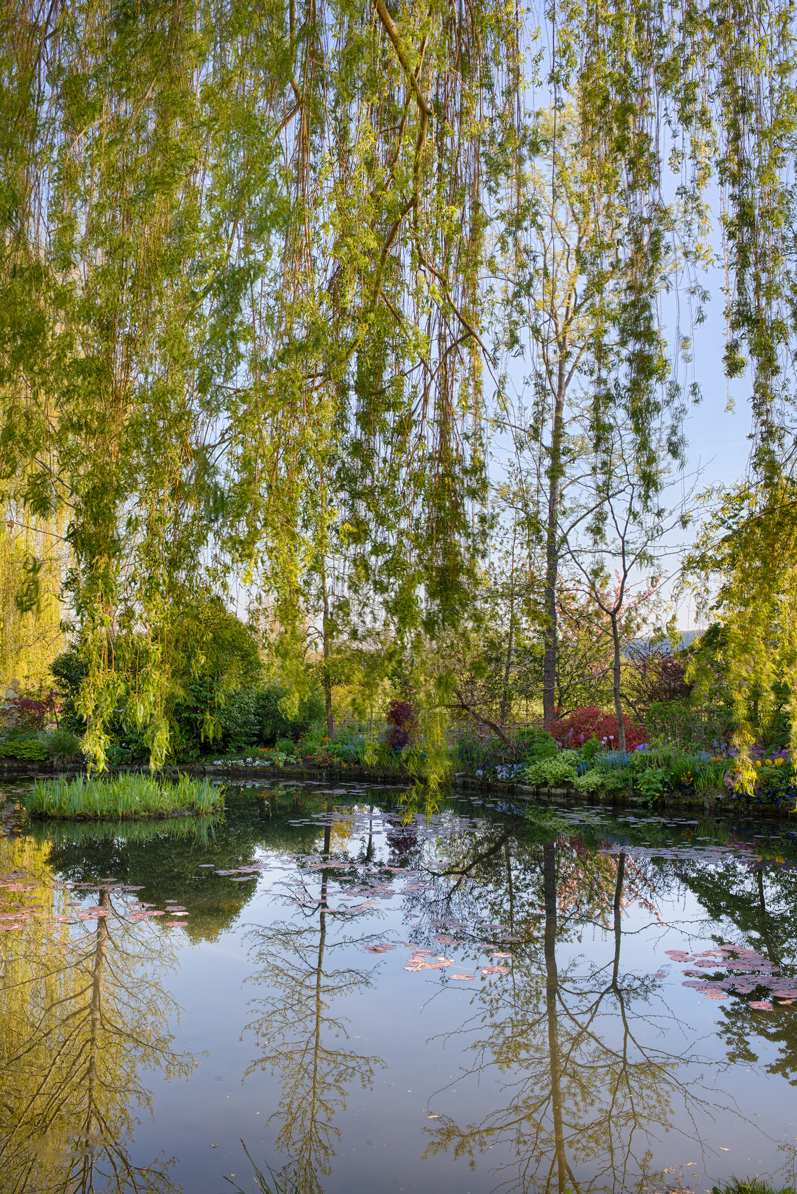 Under the Weeping Willow at Giverny © Harold Davis