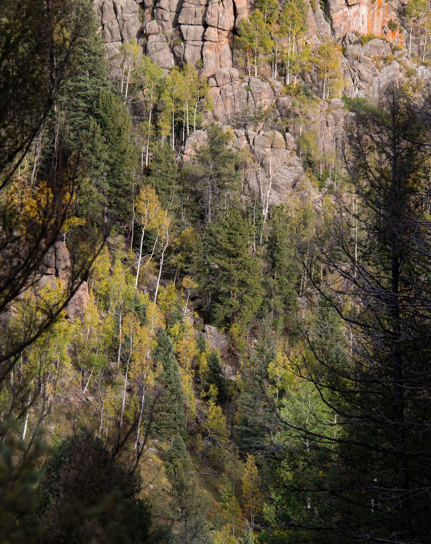 Phantom Canyon, Colorado © Harold Davis