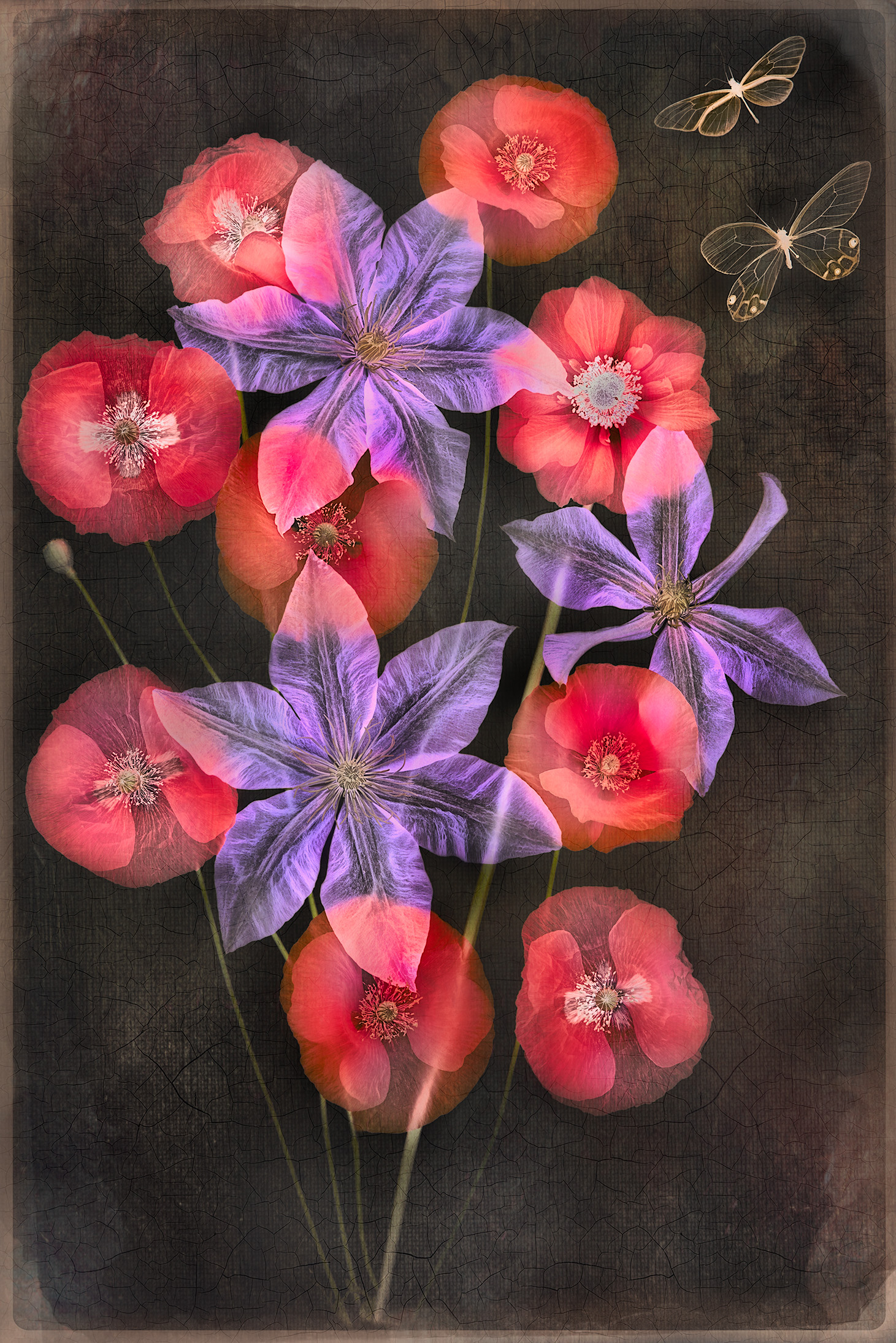 Clematis, Poppies, and Butterflies © Harold Davis