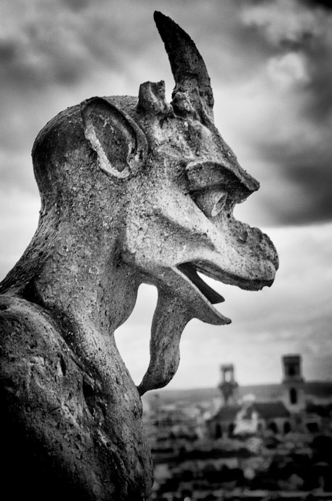 Gargoyle © Harold Davis