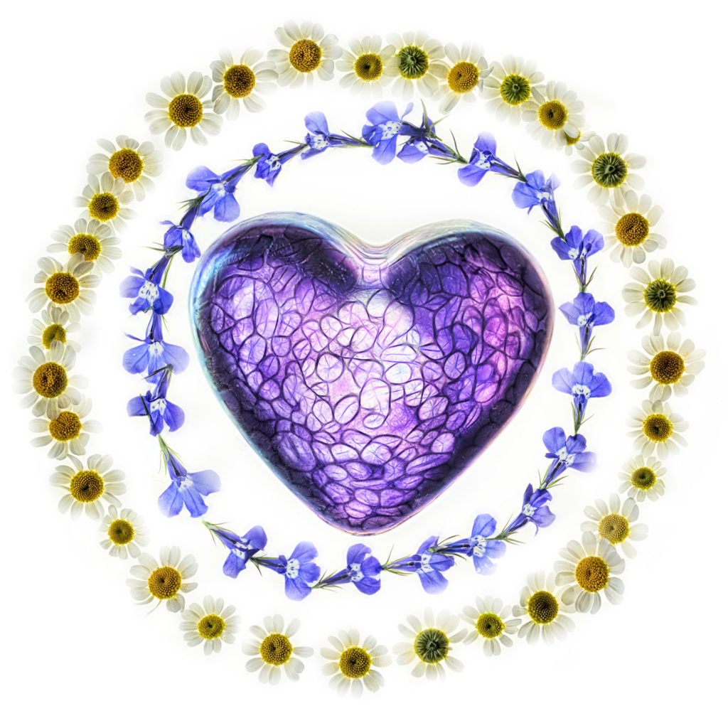 Heart Ringed with Flowers © Harold Davis