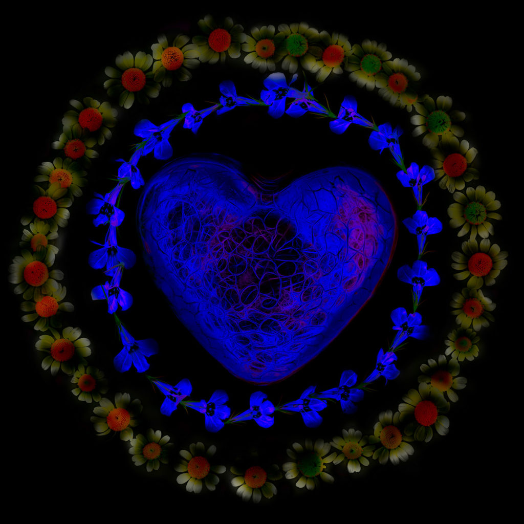 Heart Ringed with Flowers Variation AA © Harold Davis