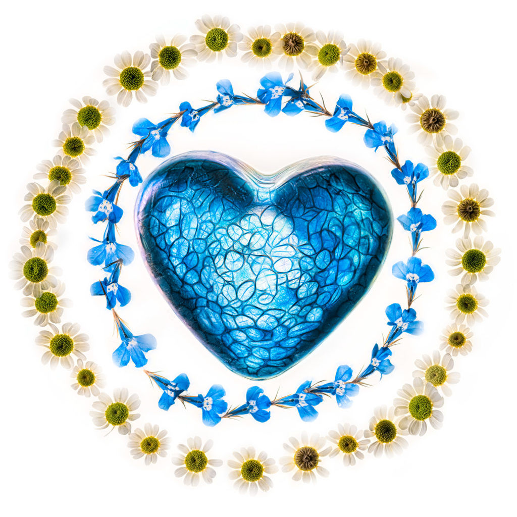 Heart Ringed with Flowers Variation C © Harold Davis