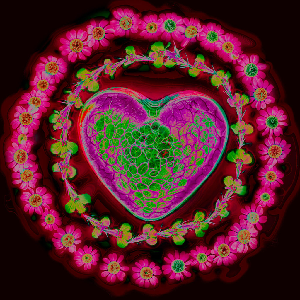 Heart Ringed with Flowers Variation E © Harold Davis