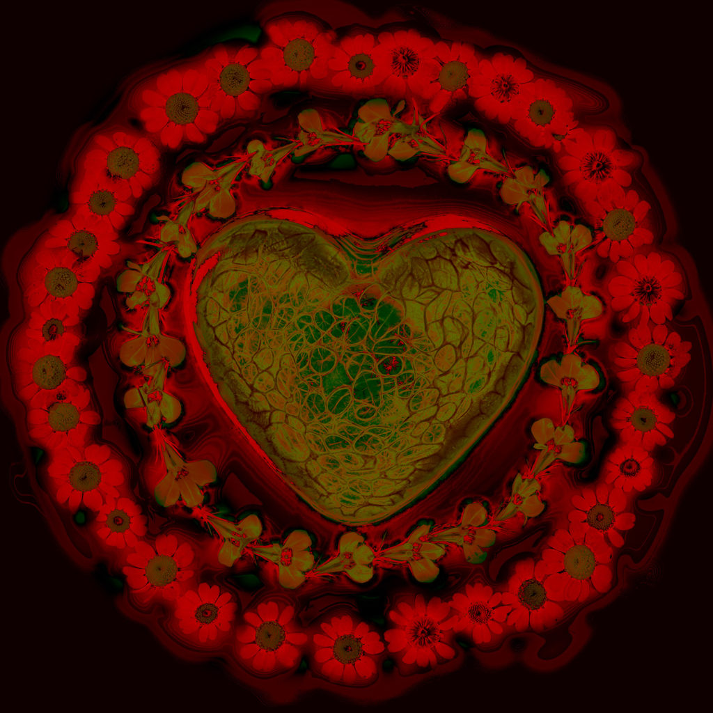 Heart Ringed with Flowers Variation F © Harold Davis