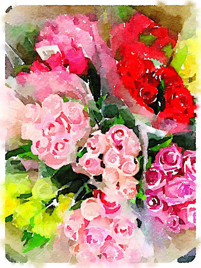 Roses via Waterlogue © Harold Davis