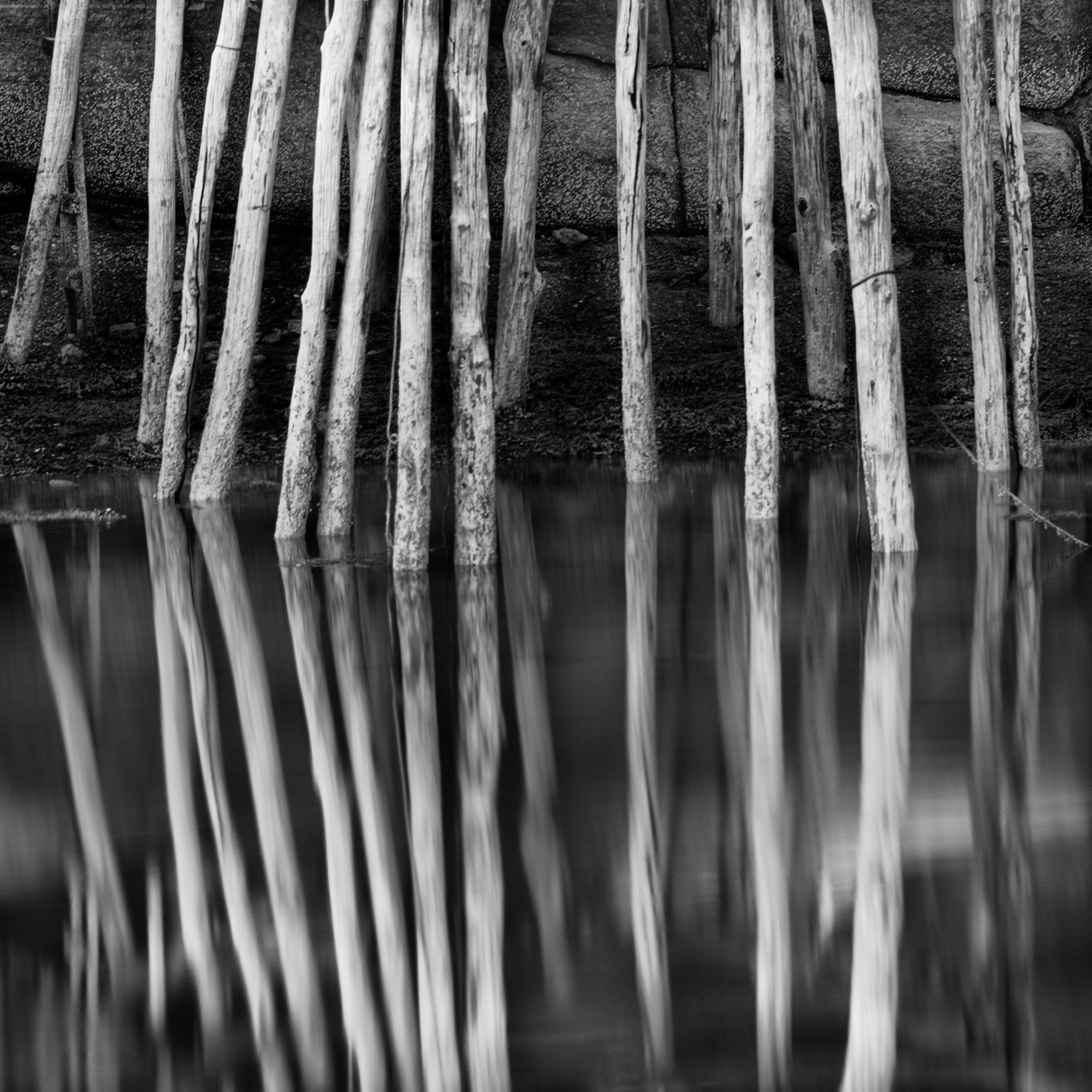 Pier, Stonington Harbor © Harold Davis