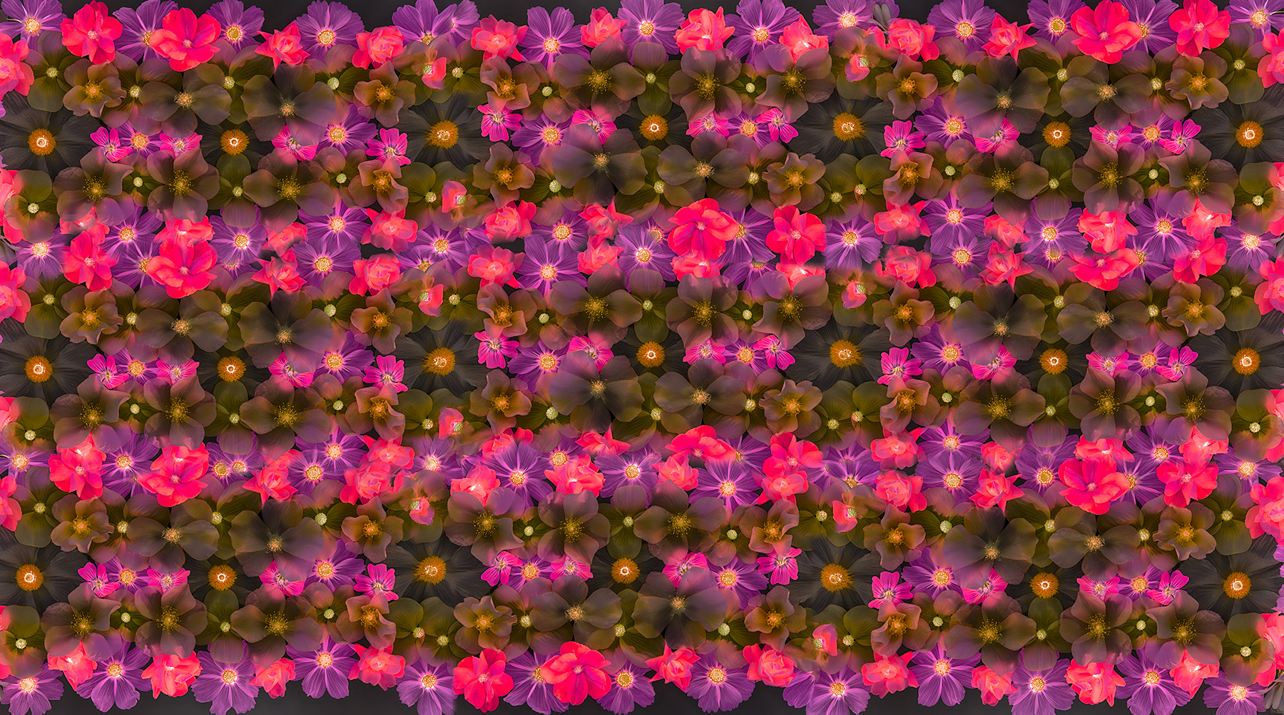 Repeating Flower Pattern - Proof of Concept