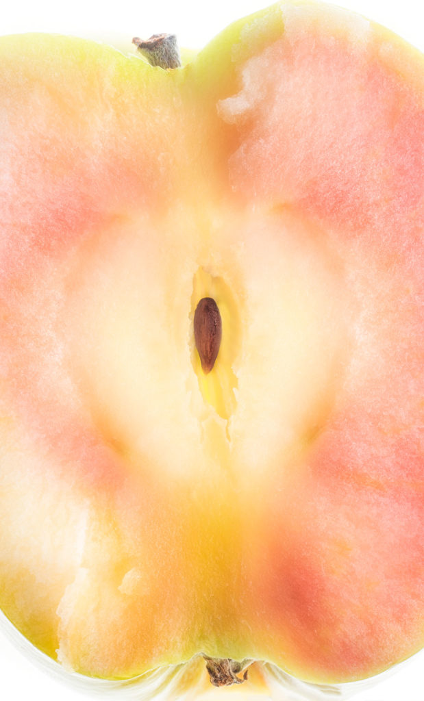 Apple © Harold Davis