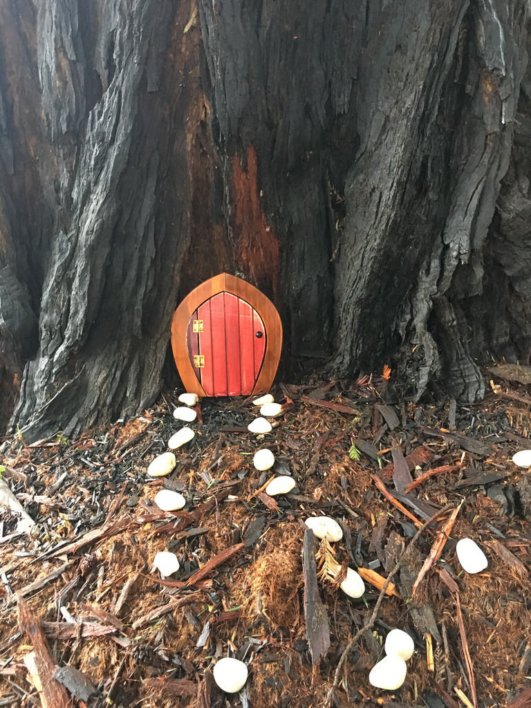 Door in the Tree © Harold Davis