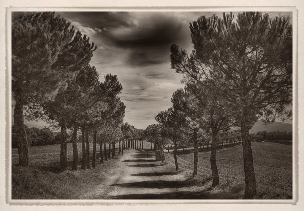 Tuscan Road © Harold Davis