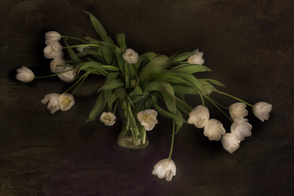 White Tulips (Wabi-Sabi) © Harold Davis