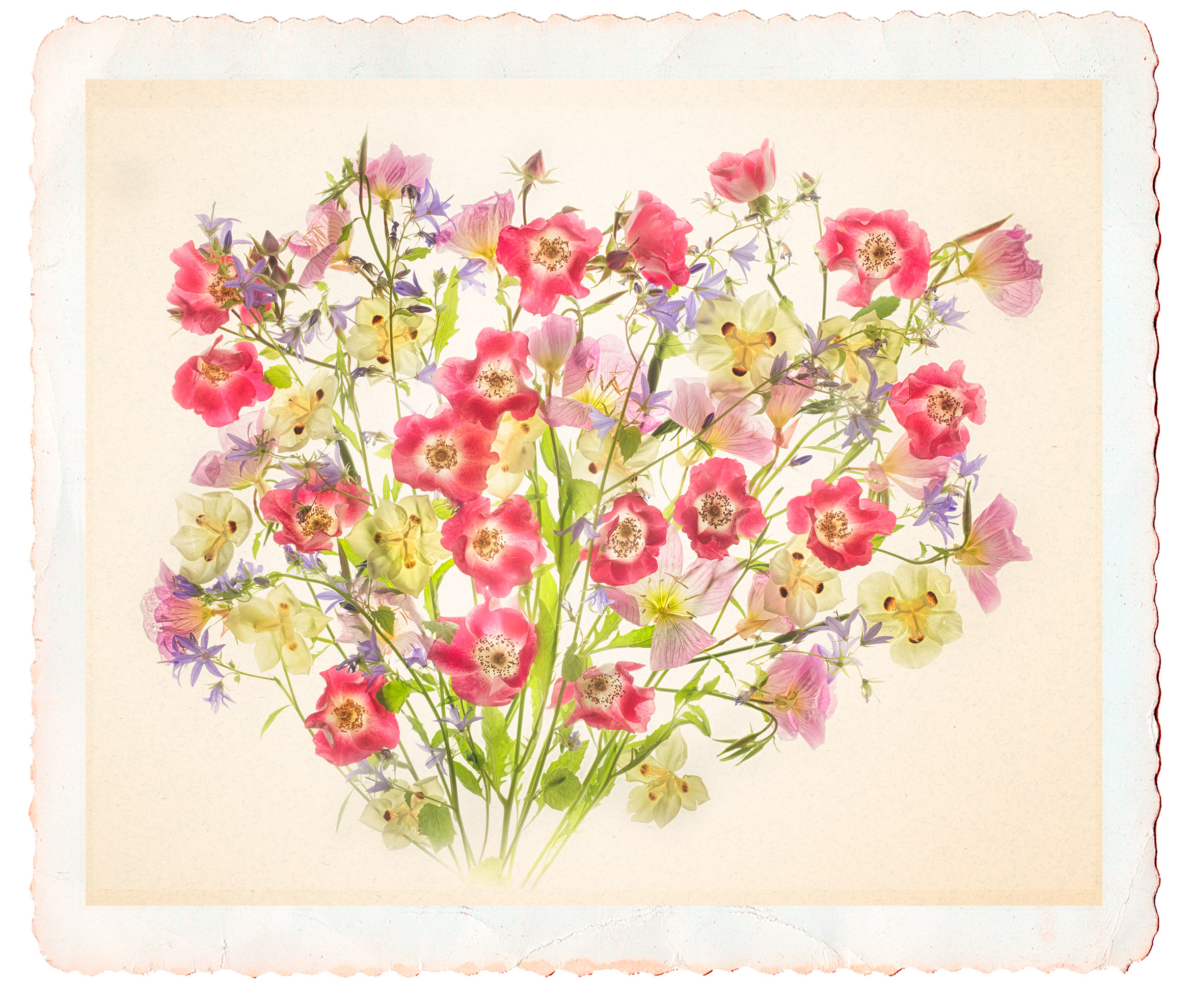 Making a Flower Block and LAB Collage – Harold Davis