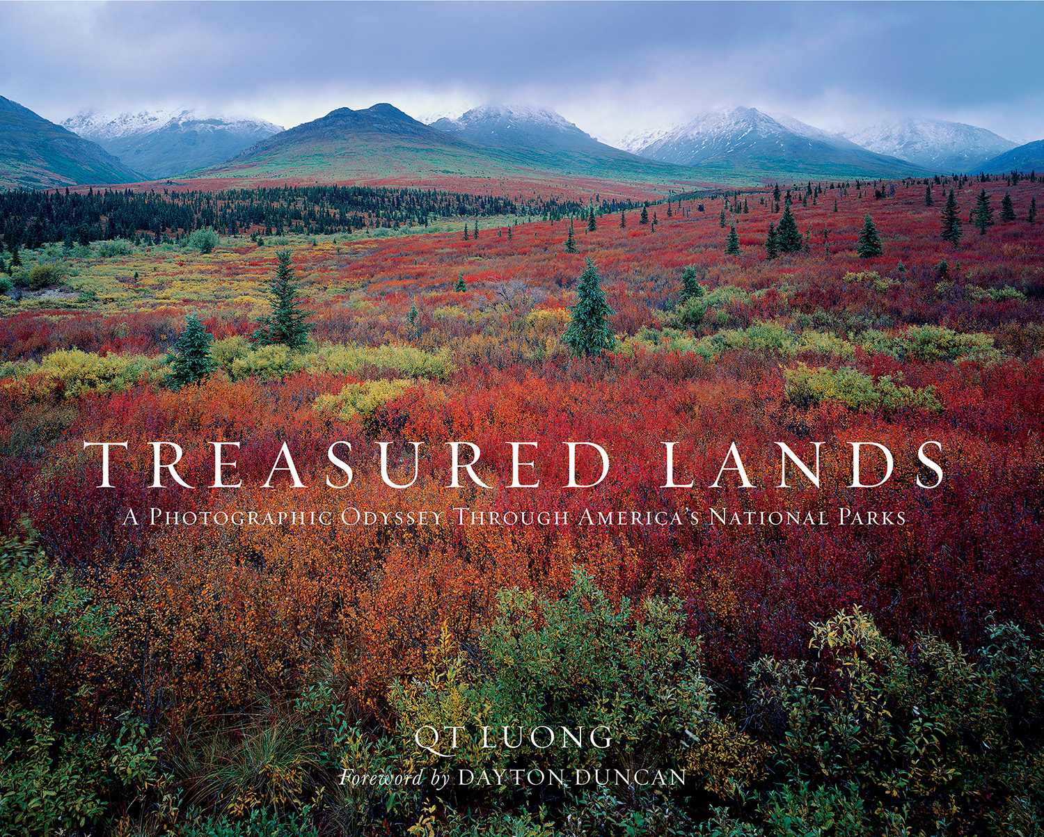 Treasure land. Leisure by w.h Davies. Leasure -w/h Davis. Фотография Lands Day. Дункан Камерон канадский музеолог.