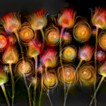 Photographing Flowers for Transparency | Free Webinar hosted by B&H Photo