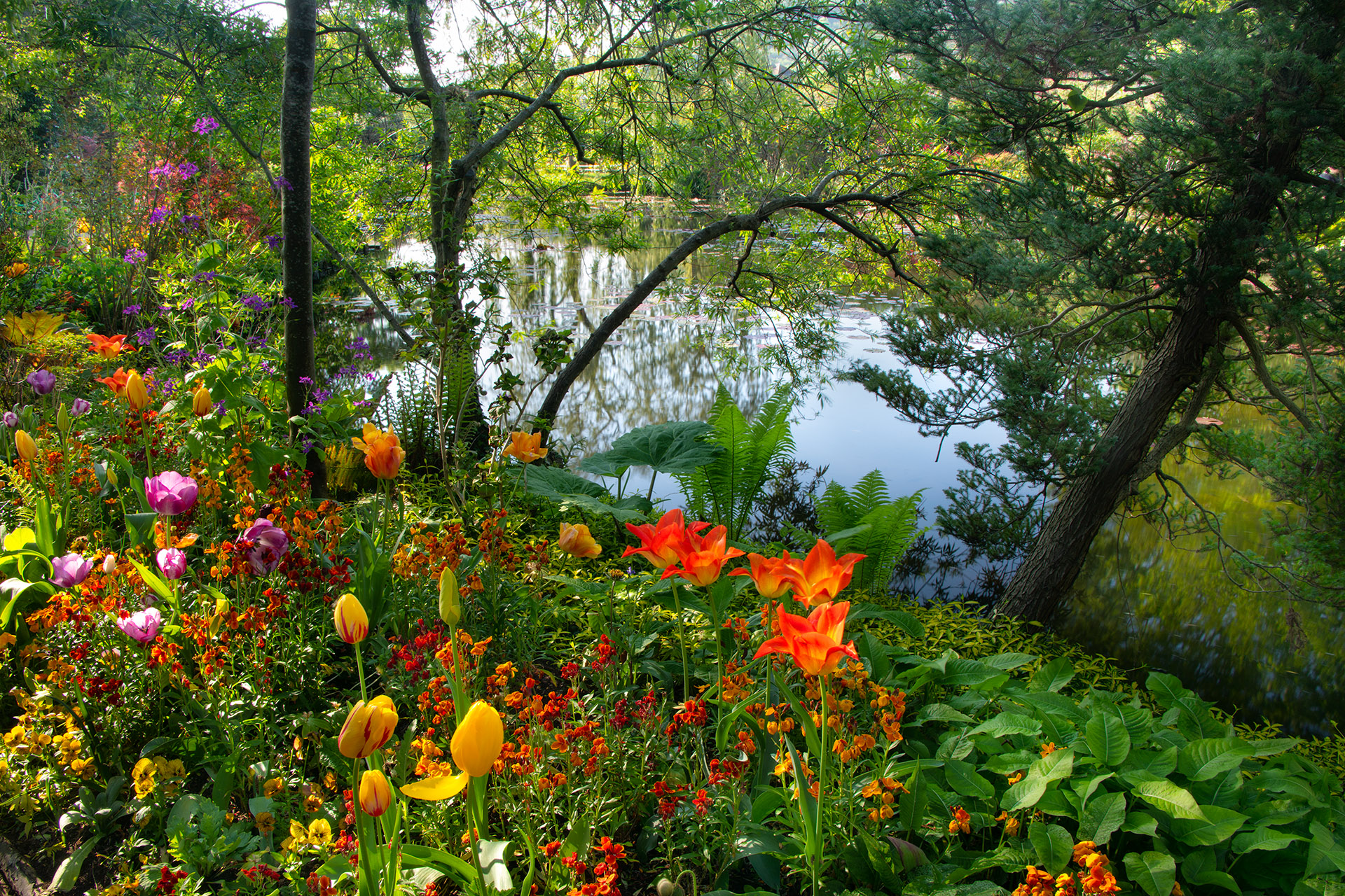 Giverny Afternoon © Harold Davis