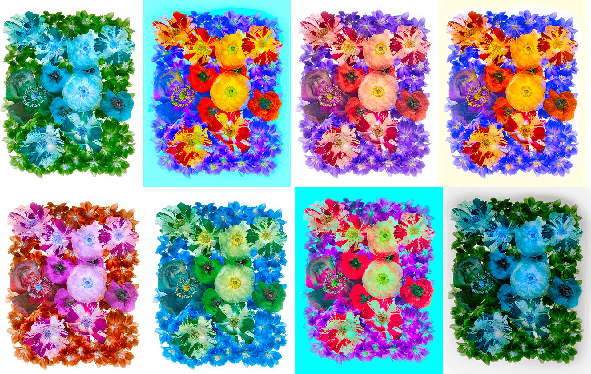 Collage of LAB Flower Blocks © Harold Davis