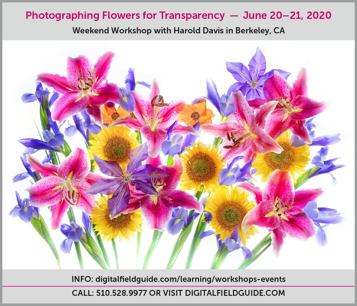 Flowers for Transparency Workshop 2020
