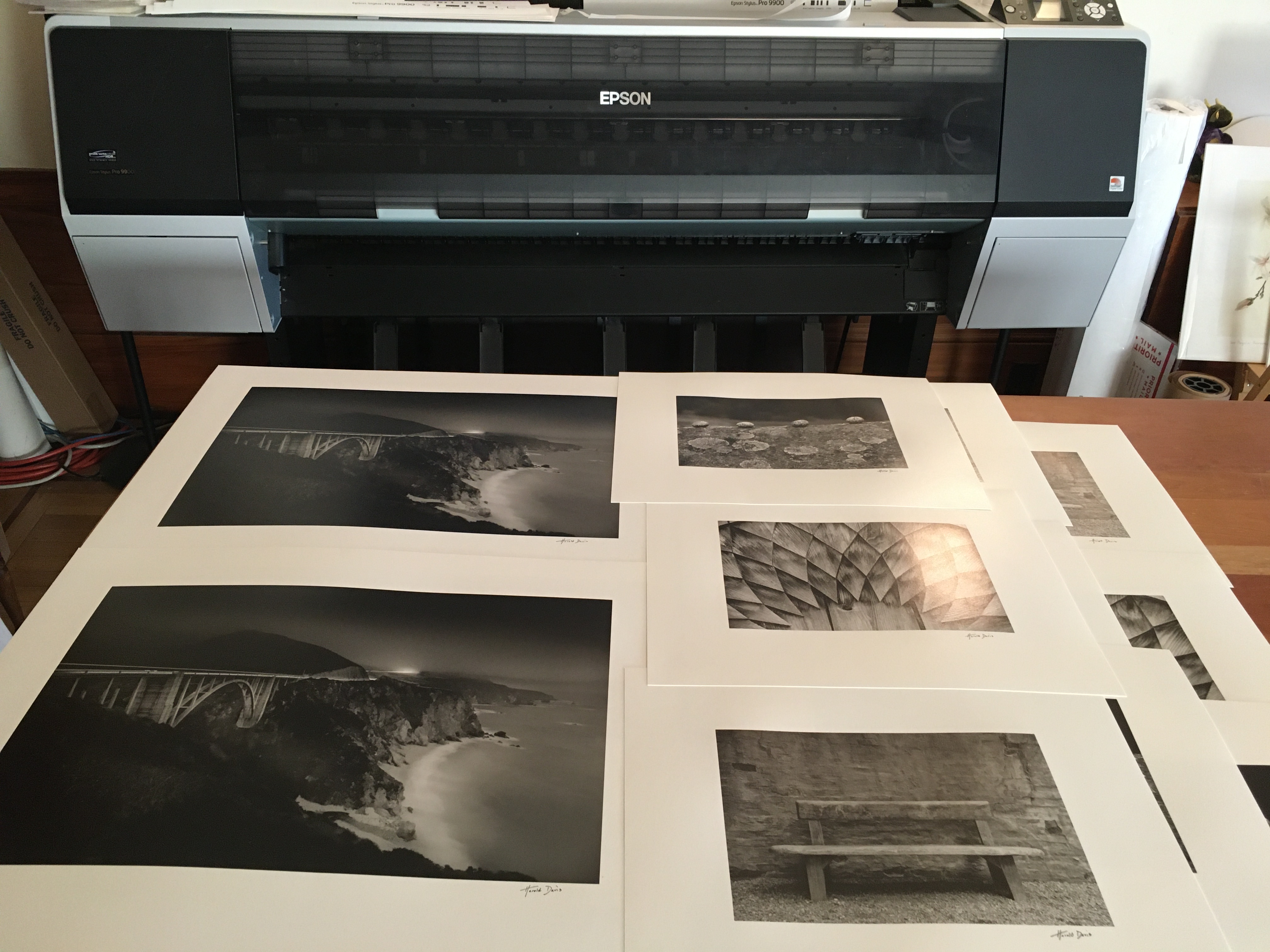 Prints curing © Harold Davis