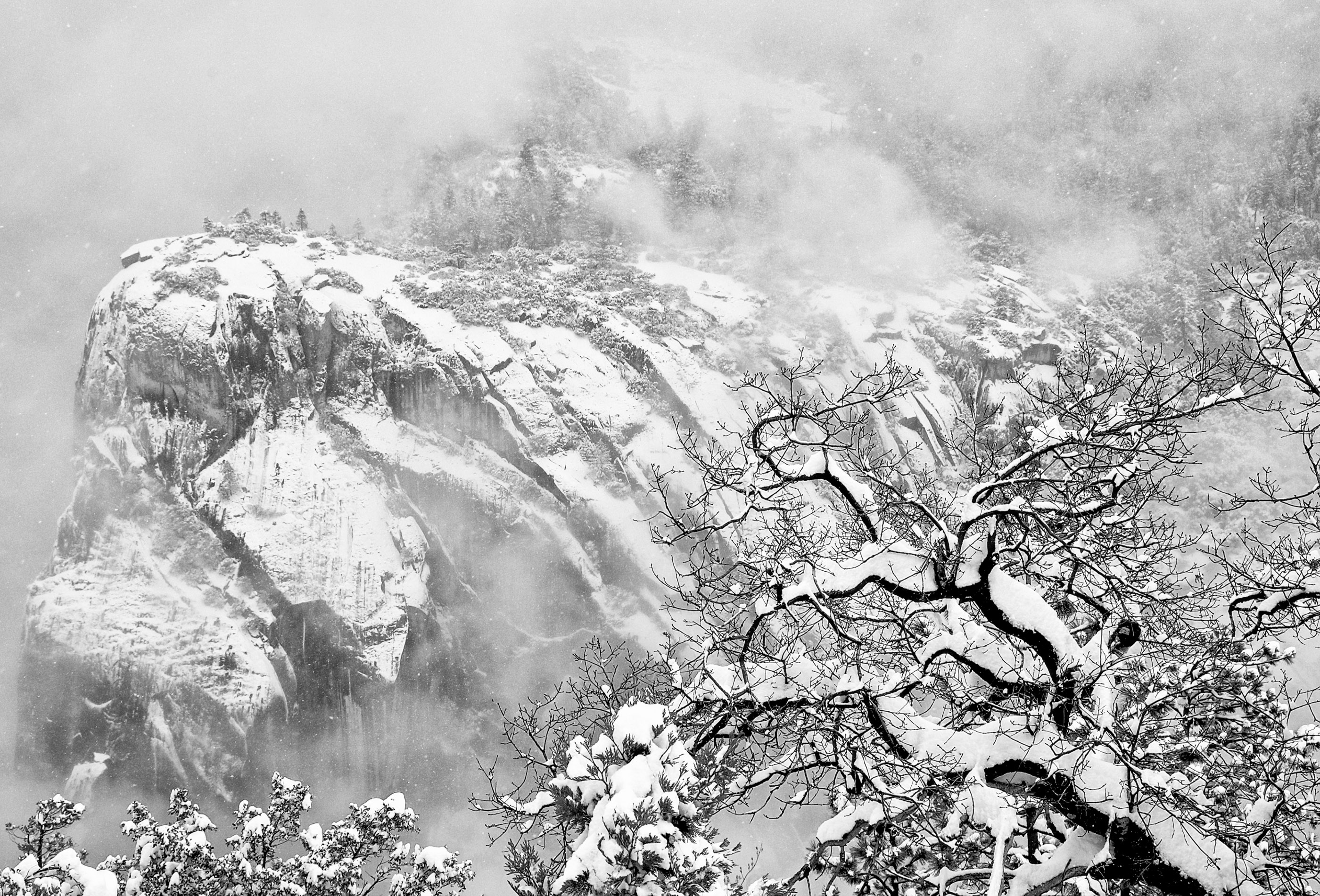 Yosemite Snowstorm © Harold Davis