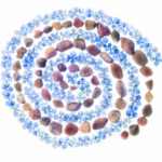 Harold Davis—Best of 2020