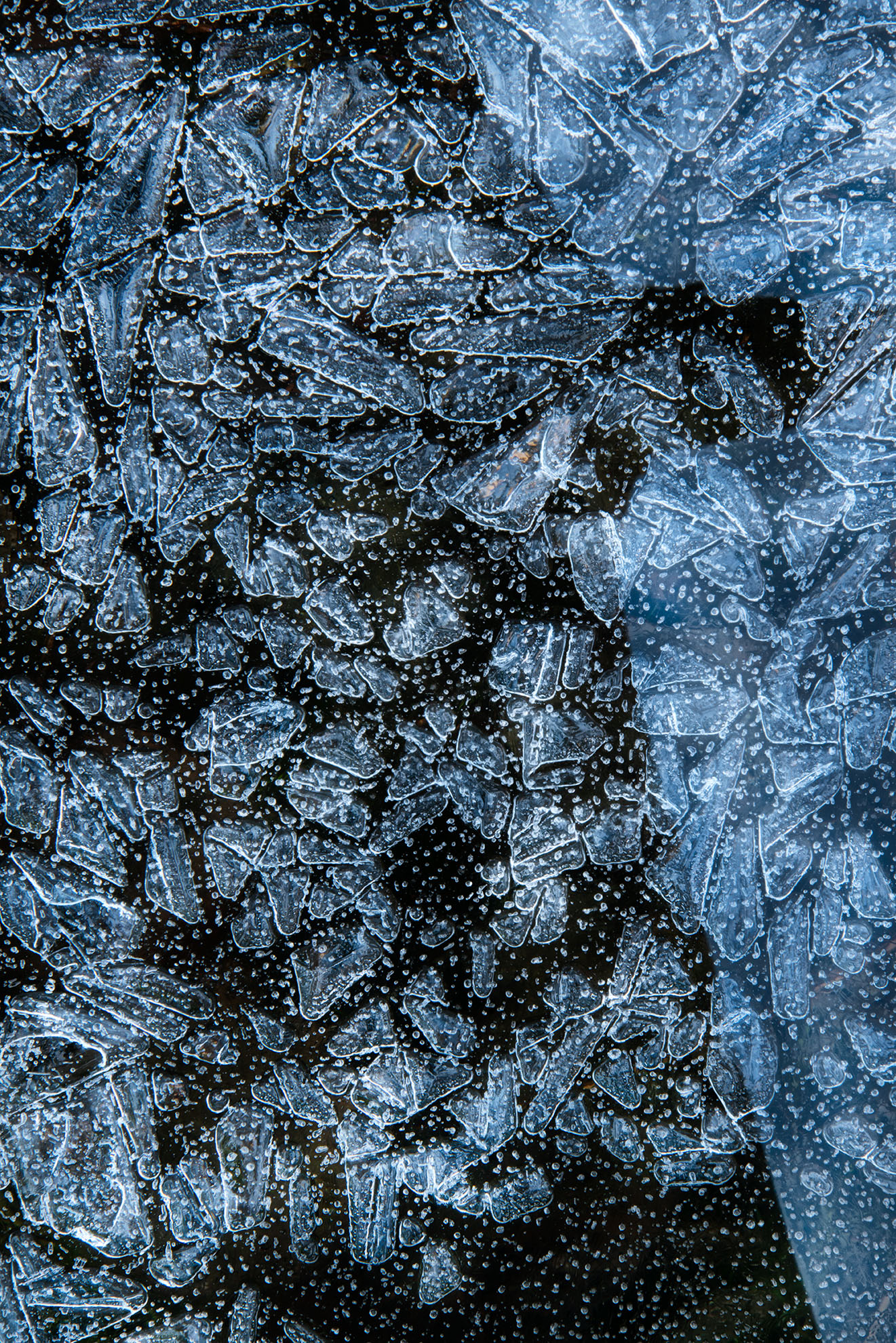Skim Ice on the Merced © Harold Davis