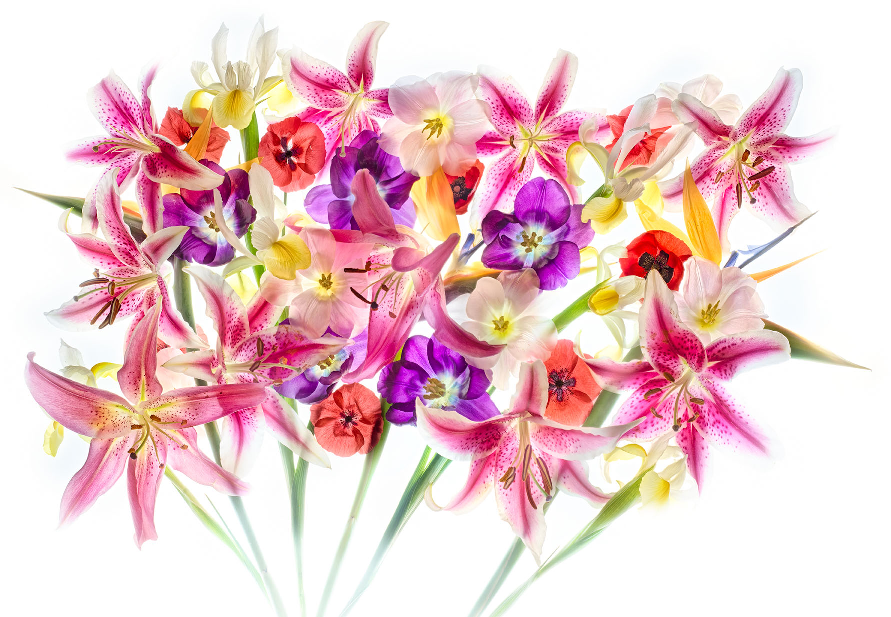 Flowers as a Group © Harold Davis