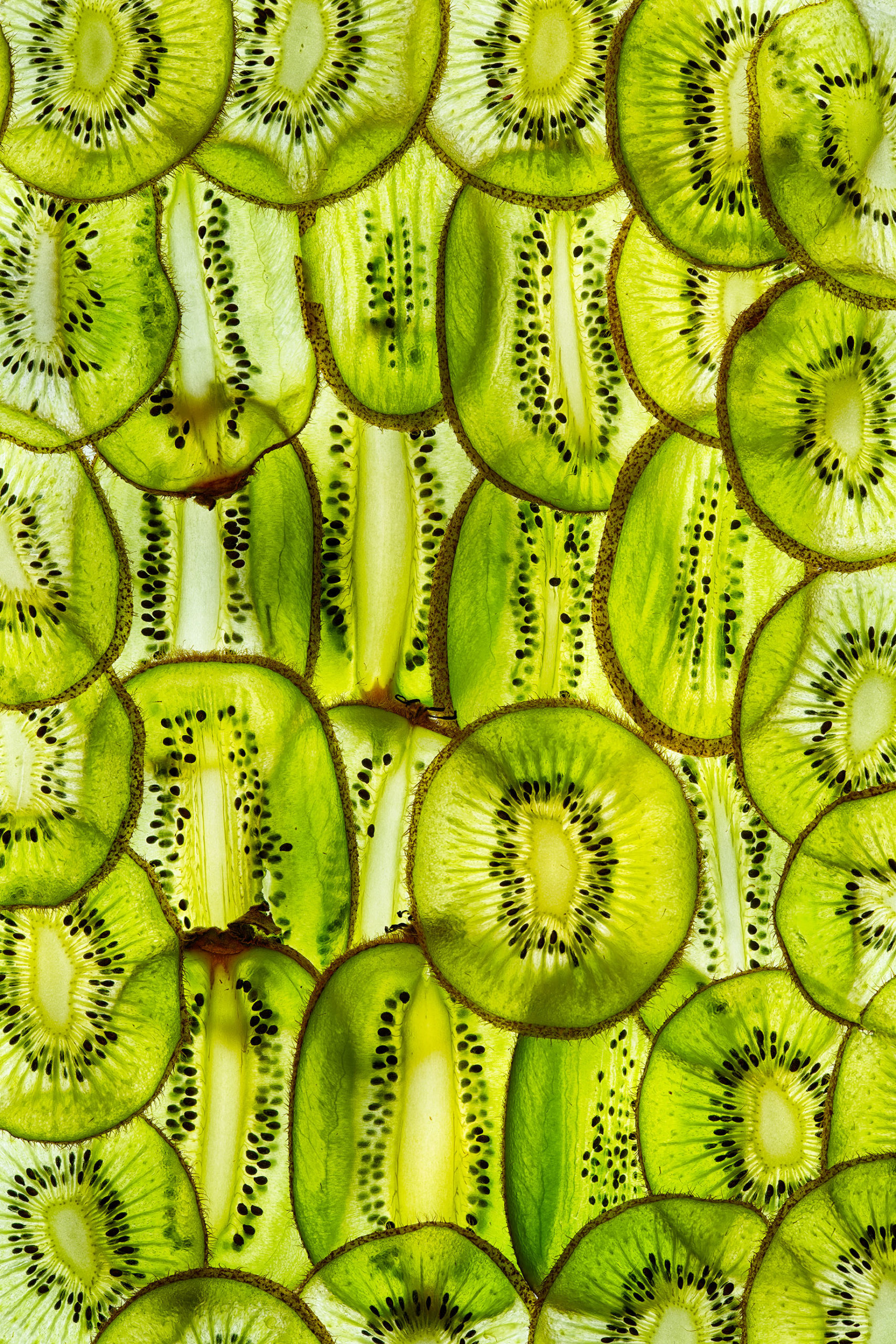Kiwi Fruit Slices © Harold Davis