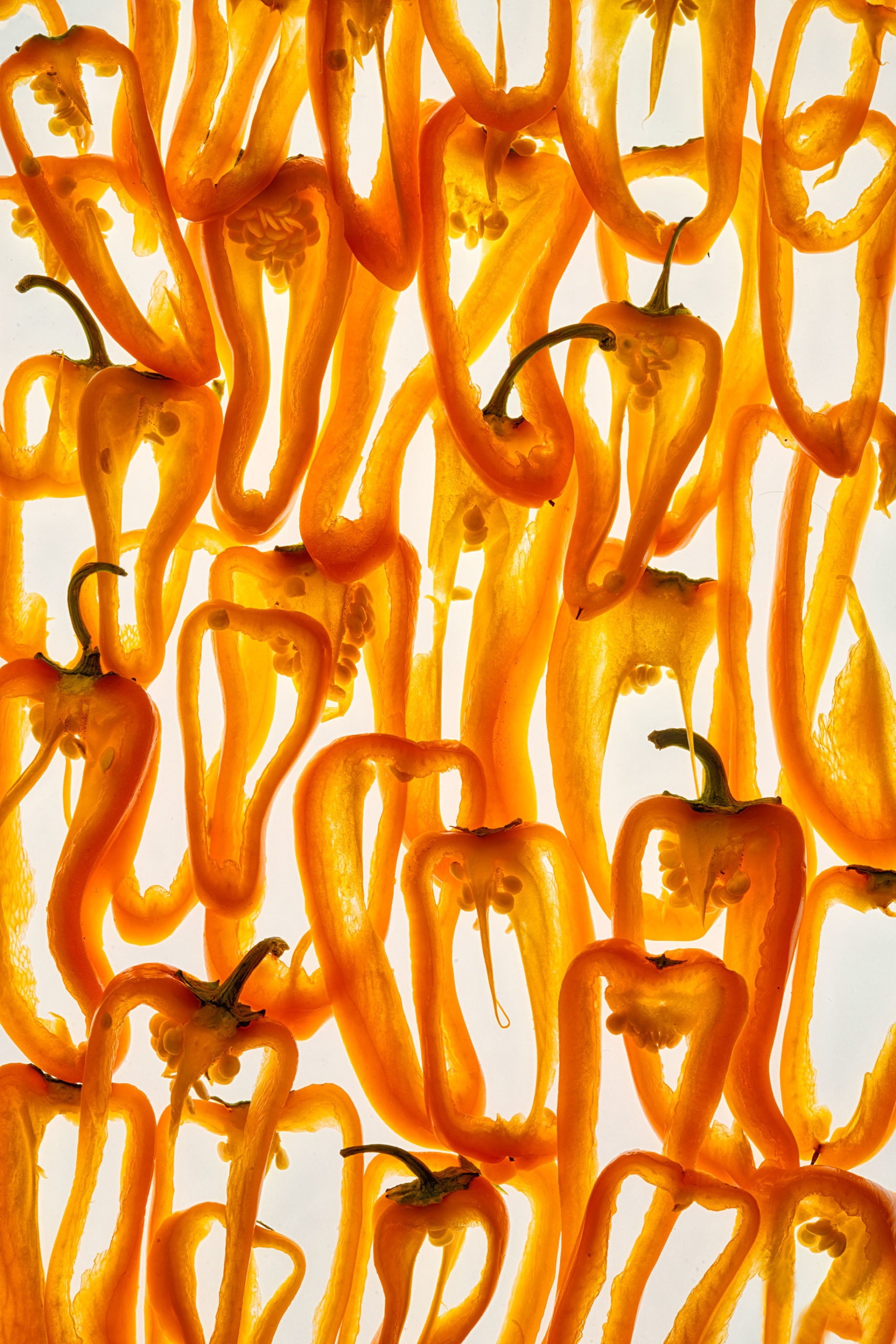 Orange Peppers © Harold Davis