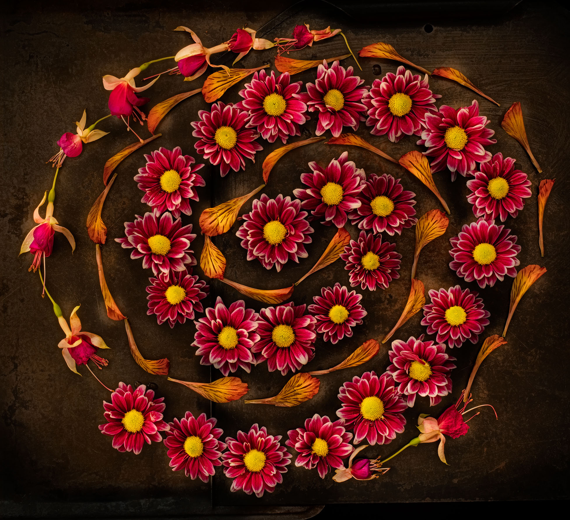 Spiral of Flower Karma © Harold Davis