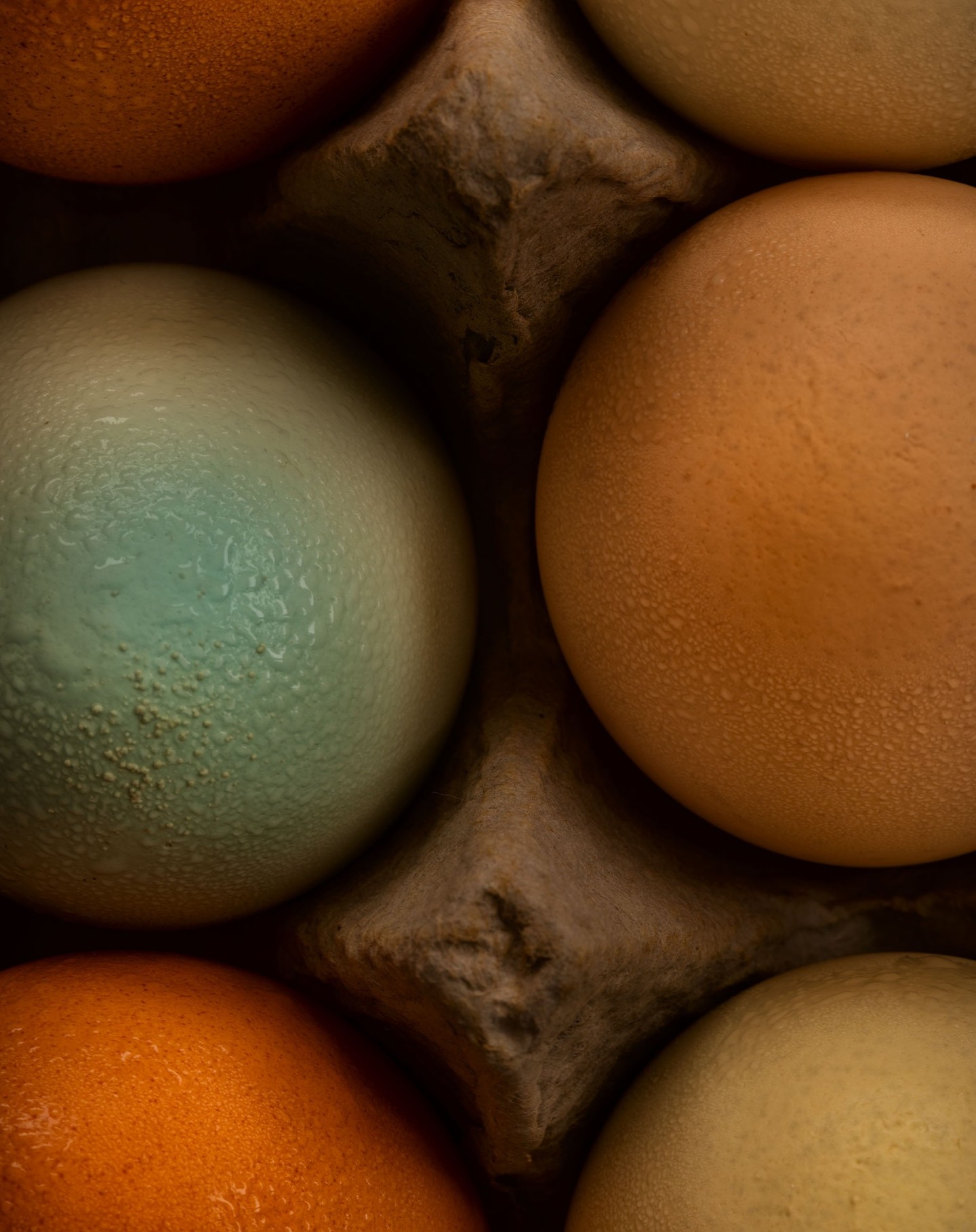 Eggses © Harold Davis