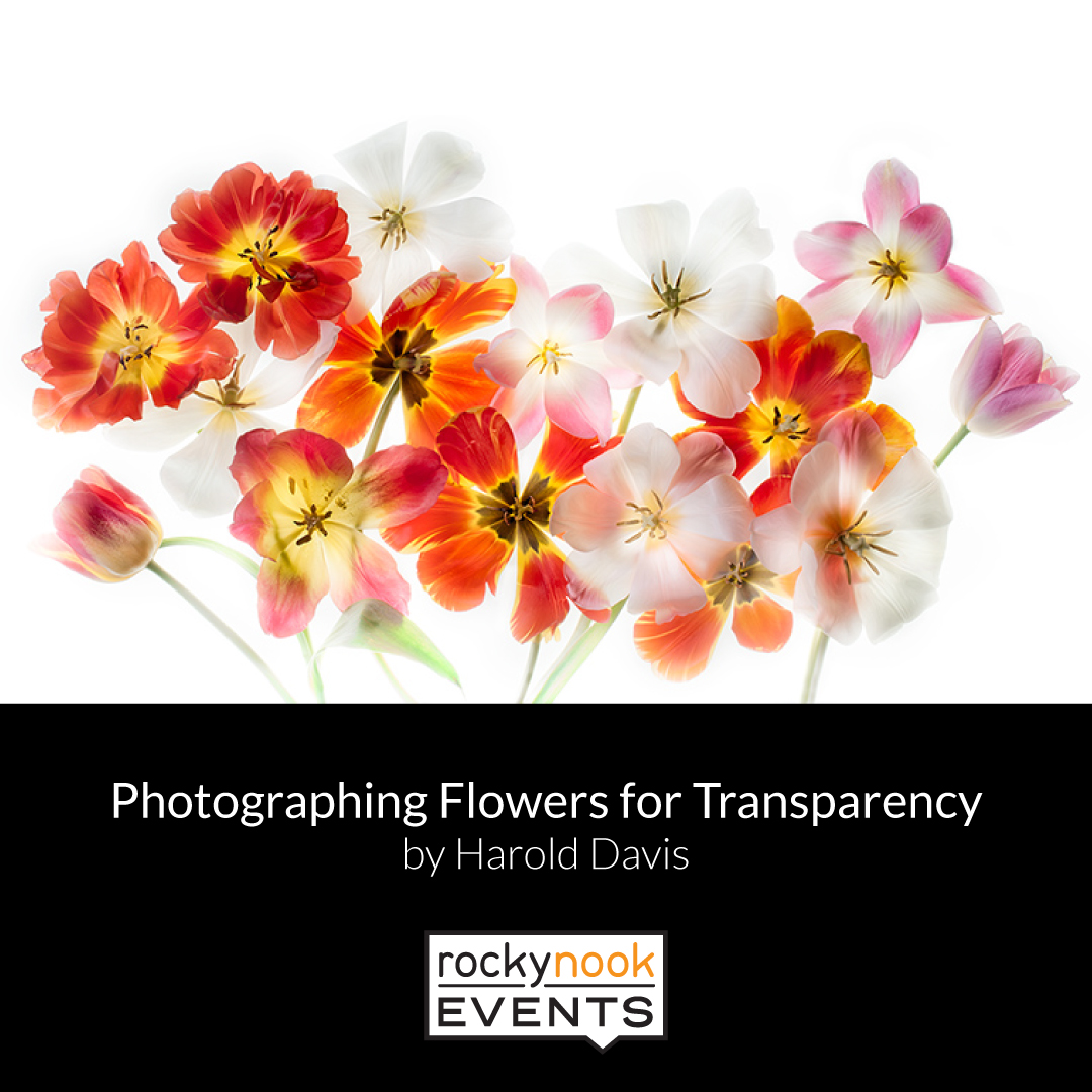 Photographing Flowers for Transparency Live Webinar Masterclass