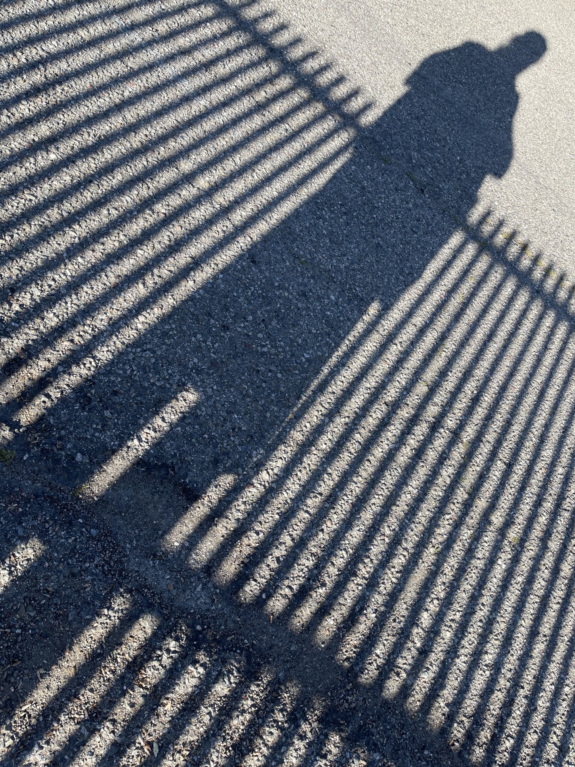 Shadow Selfie