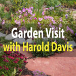 New Video Release: Visit Harold’s Garden